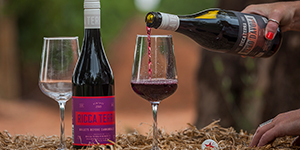 From the Vineyard to the City – Wine Tasting & Live Music in The Myer Centre