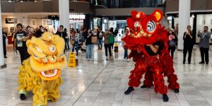 Lunar New Year at Myer Centre